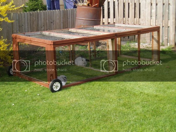 Ideas for an outdoor rabbit run | RabbitsOnline Outdoor Rabbit Run ...
