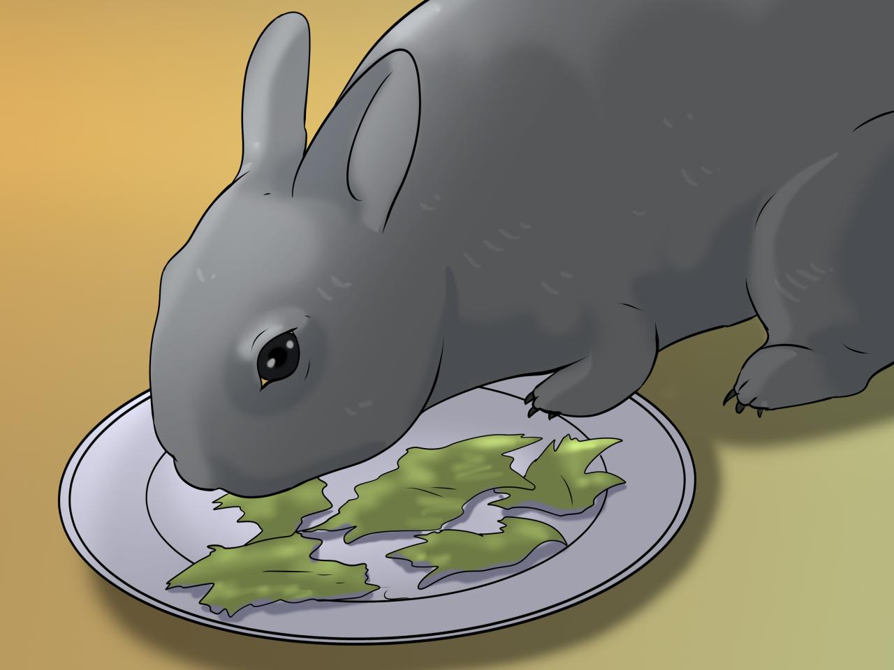 How to Befriend a Shy Rabbit: 9 Steps (with Pictures) - wikiHow