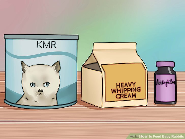 How to Feed Baby Rabbits: 11 Steps (with Pictures) - wikiHow