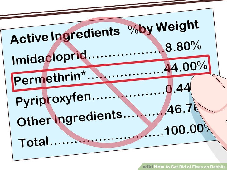 How to Get Rid of Fleas on Rabbits: 9 Steps (with Pictures)