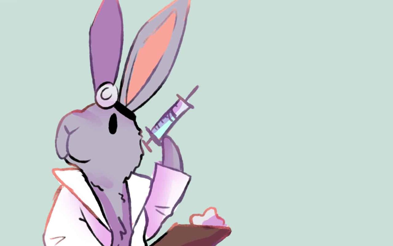 Vaccinating My Rabbit Prevents? - Warren House Veterinary Centre