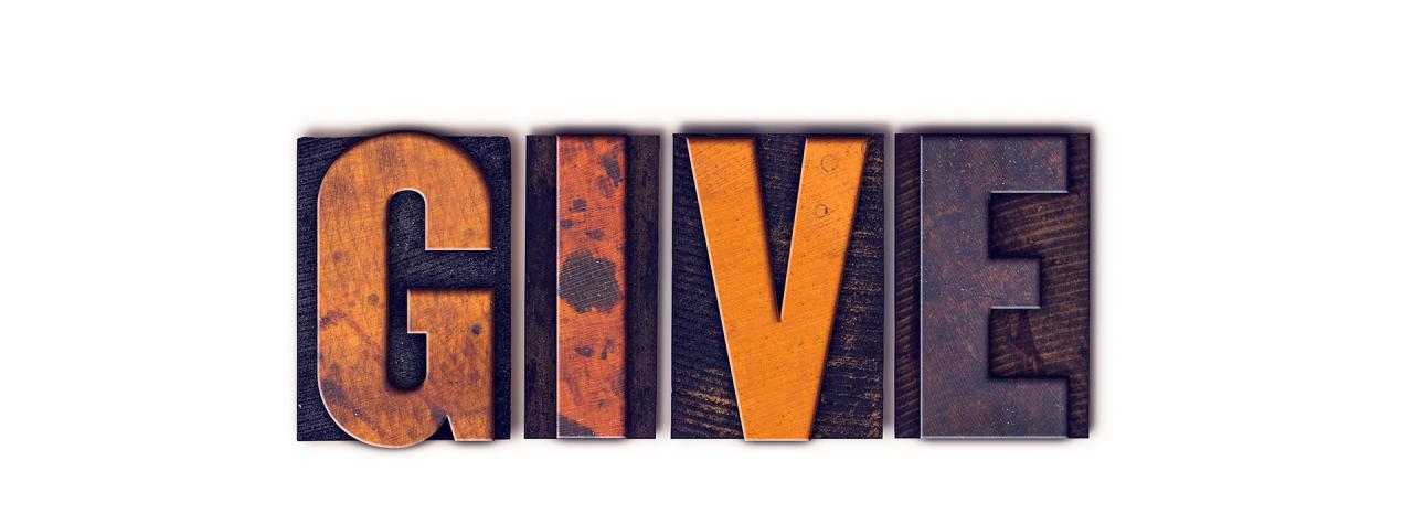 How to give rabbit a happy life