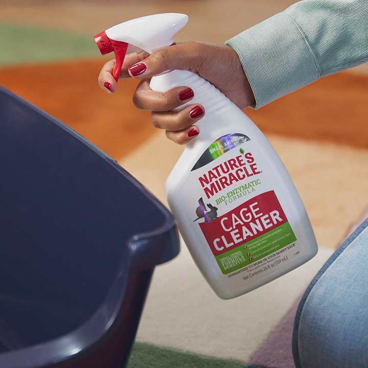 How to Litter Train a Rabbit: A Step-by-Step Guide | BeChewy How to Litter Train a Rabbit: A Step-by-Step Guide | BeChewy