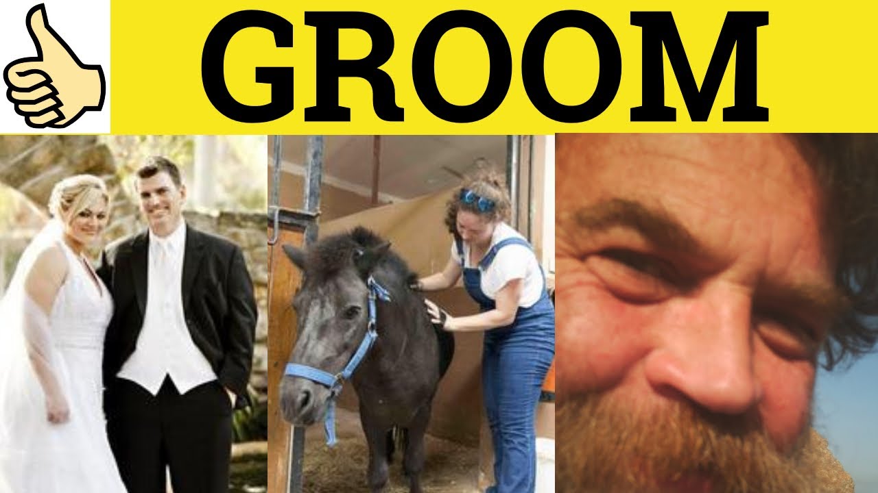 How to groom a rabbit