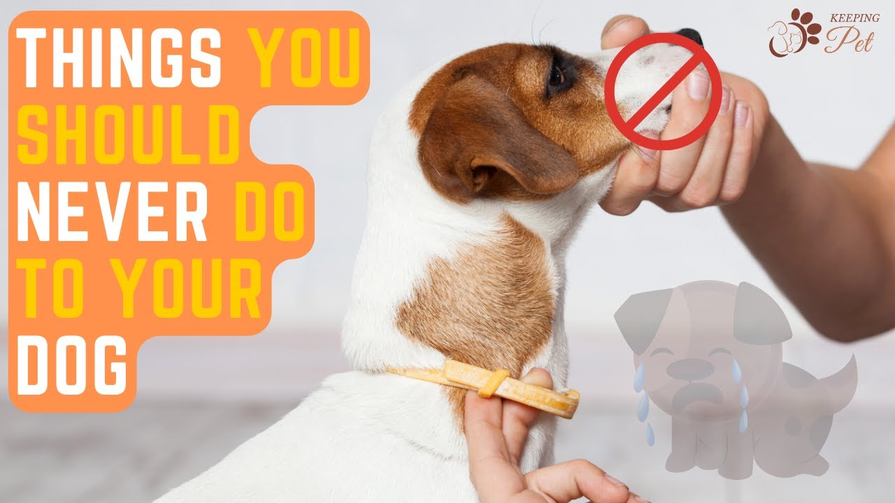 How to Feed a Wild Rabbit: 9 Steps (with Pictures) - wikiHow