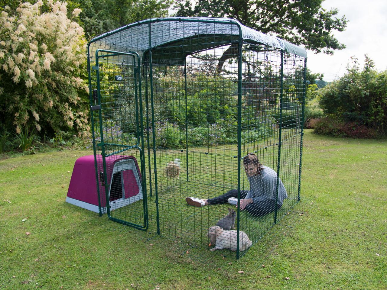 Outdoor Rabbit Run | Large Outdoor Rabbit Enclosure