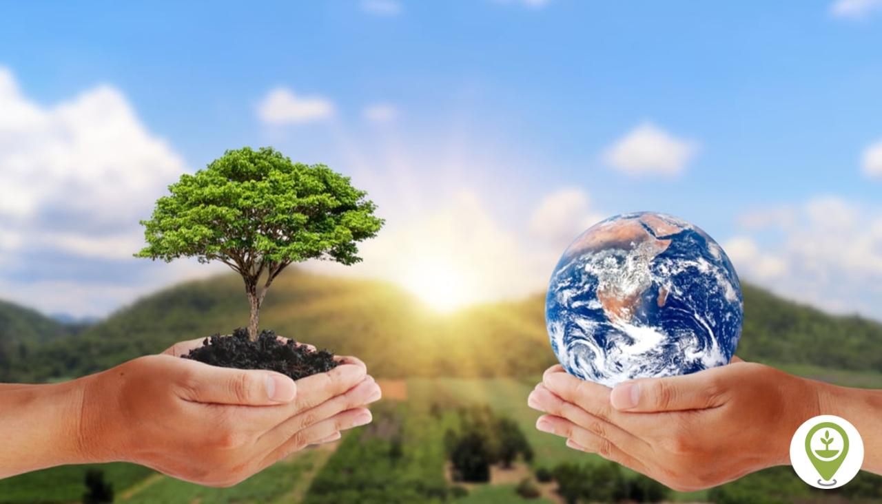 8 Ways to Protect Yourself from Malware, Data Loss, and Online Scams ...